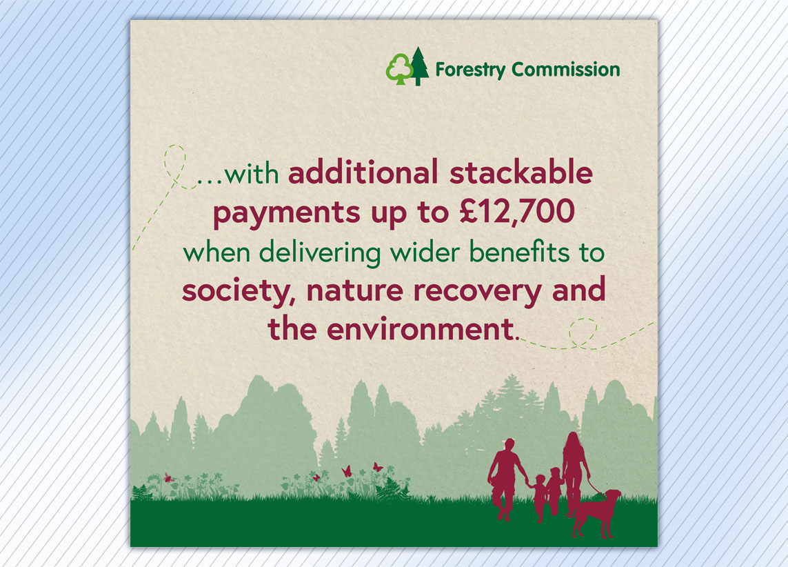 Forestry Commission Create Woodland carousel graphic